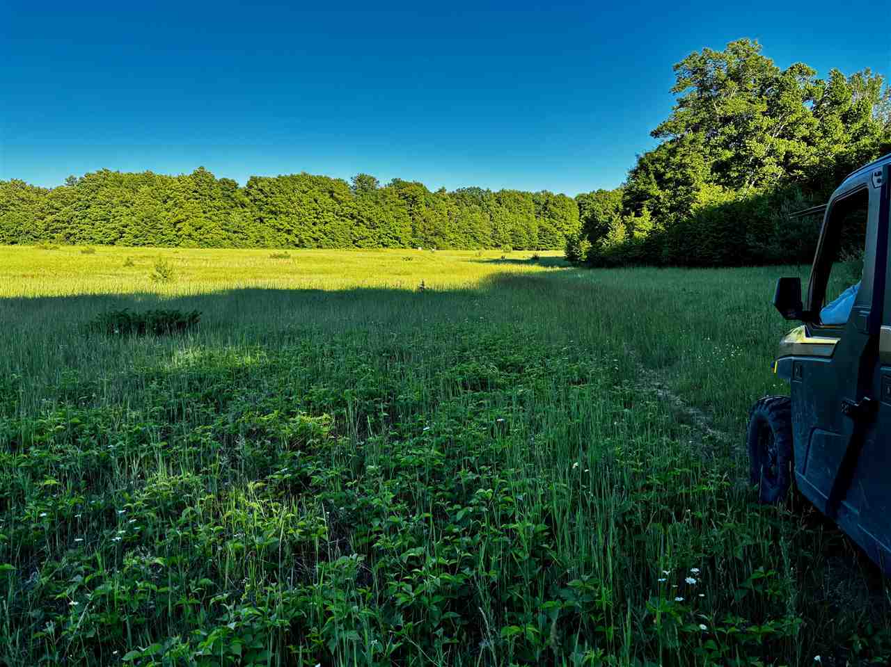 Tbd Clark Road Central Lake MI 49622