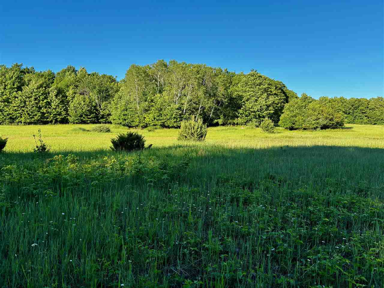 Tbd Clark Road Central Lake MI 49622