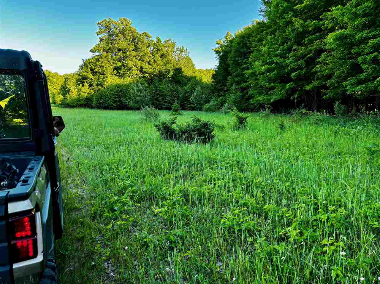 Tbd Clark Road Central Lake MI 49622