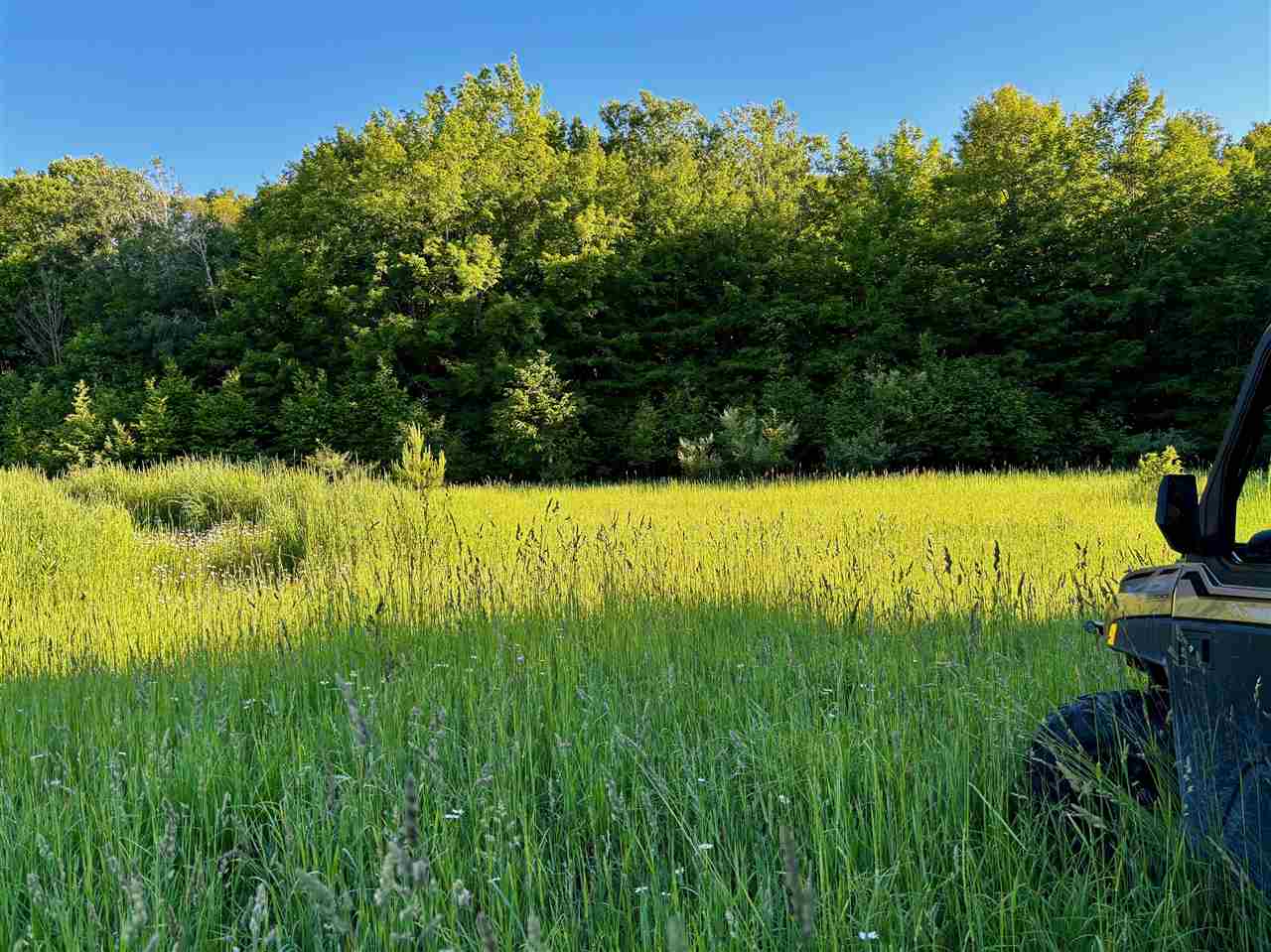 Tbd Clark Road Central Lake MI 49622