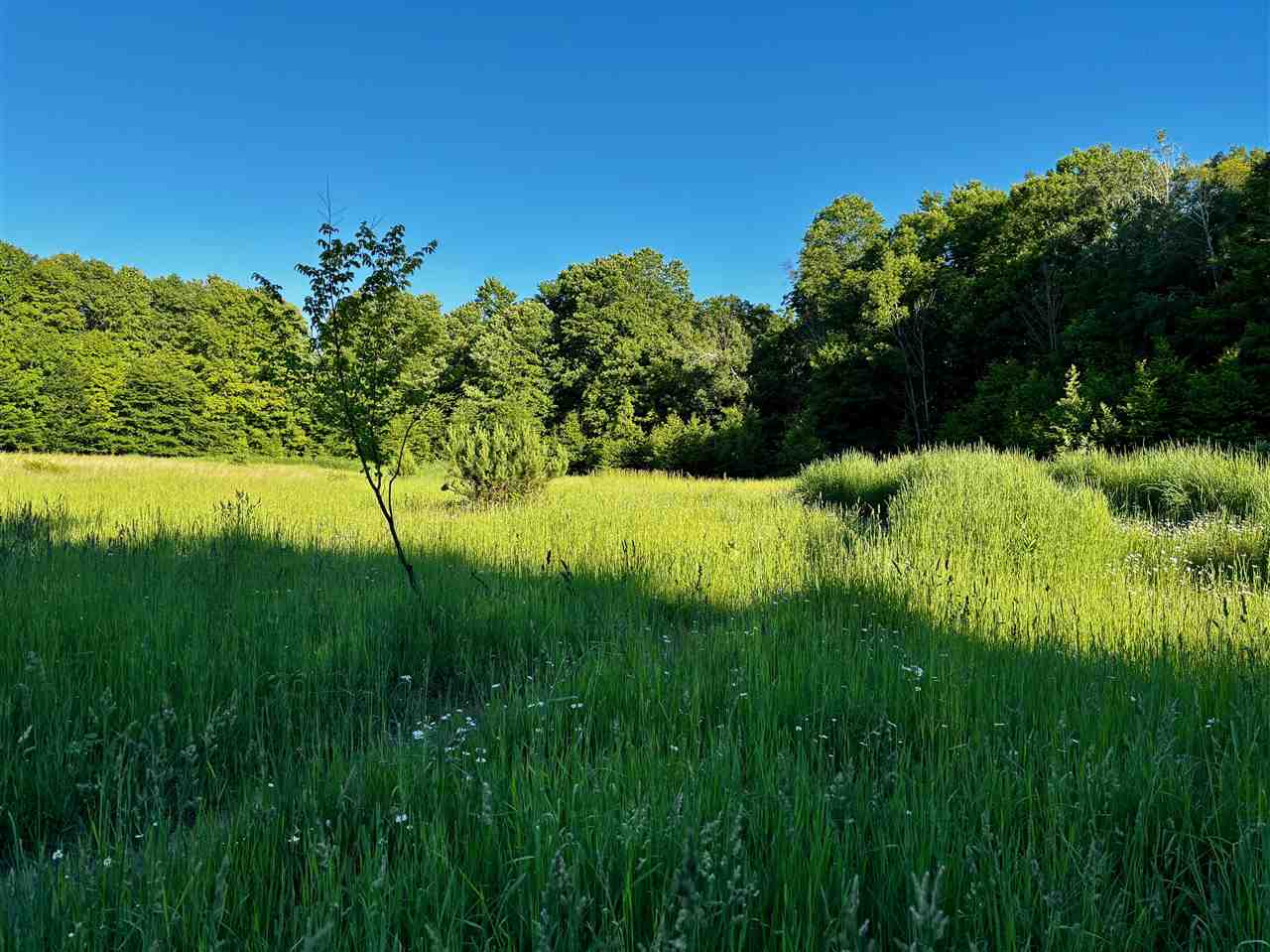 Tbd Clark Road Central Lake MI 49622