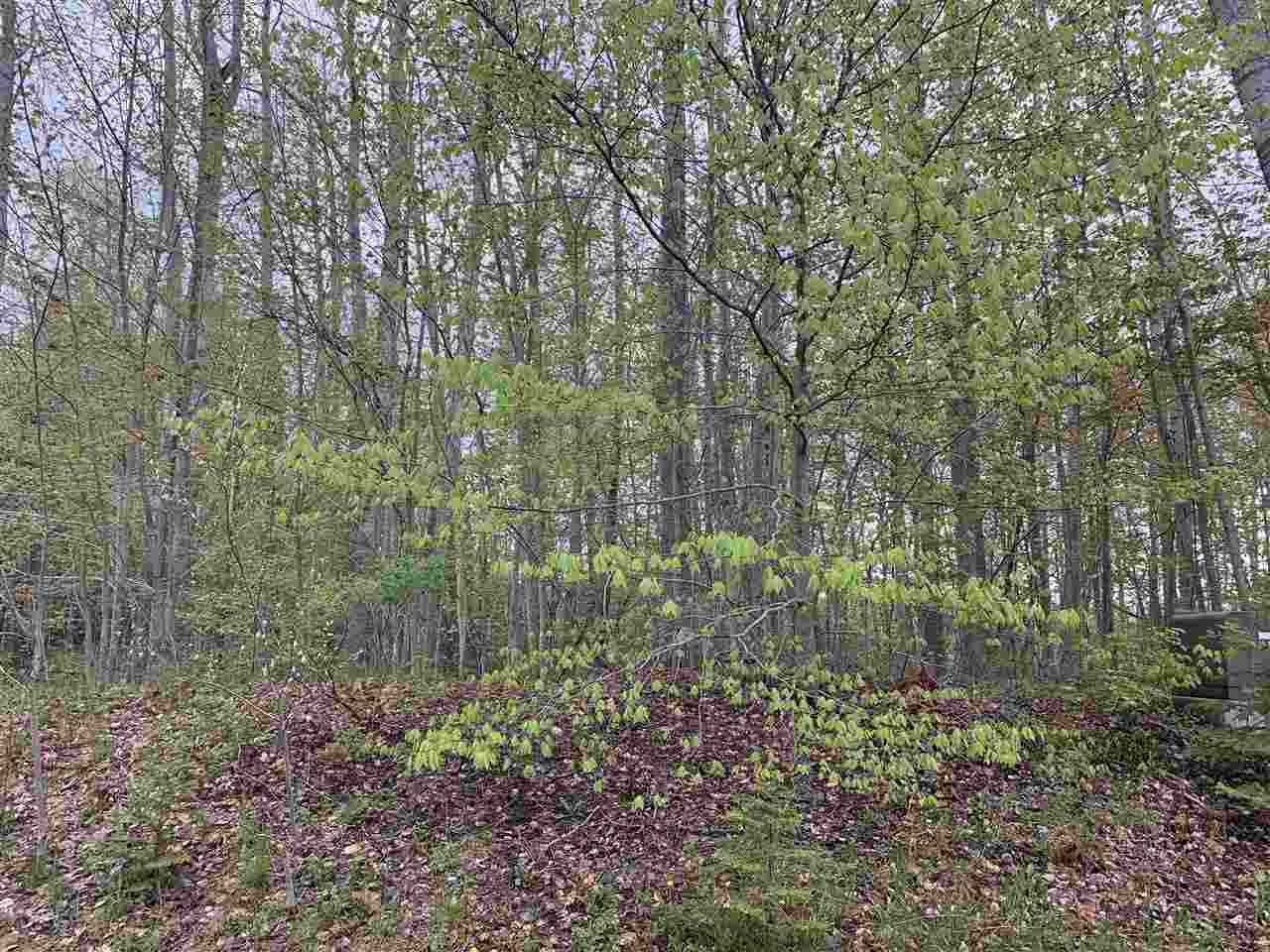 6869 S Preserve Drive Petoskey MI 49740