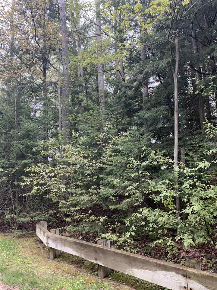 6869 S Preserve Drive Petoskey MI 49740