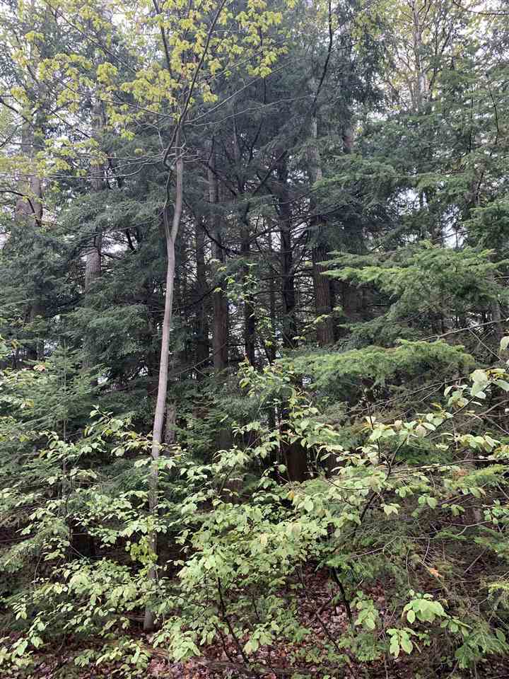 6869 S Preserve Drive Petoskey MI 49740