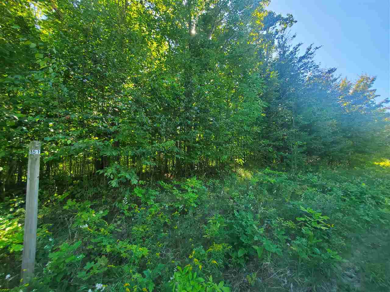 2026 Chapel Hill Drive Petoskey MI 49770