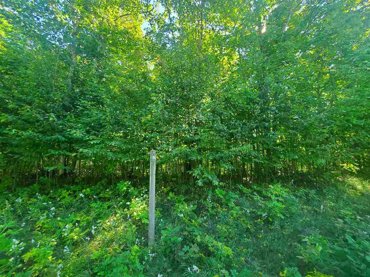 2026 Chapel Hill Drive Petoskey MI 49770