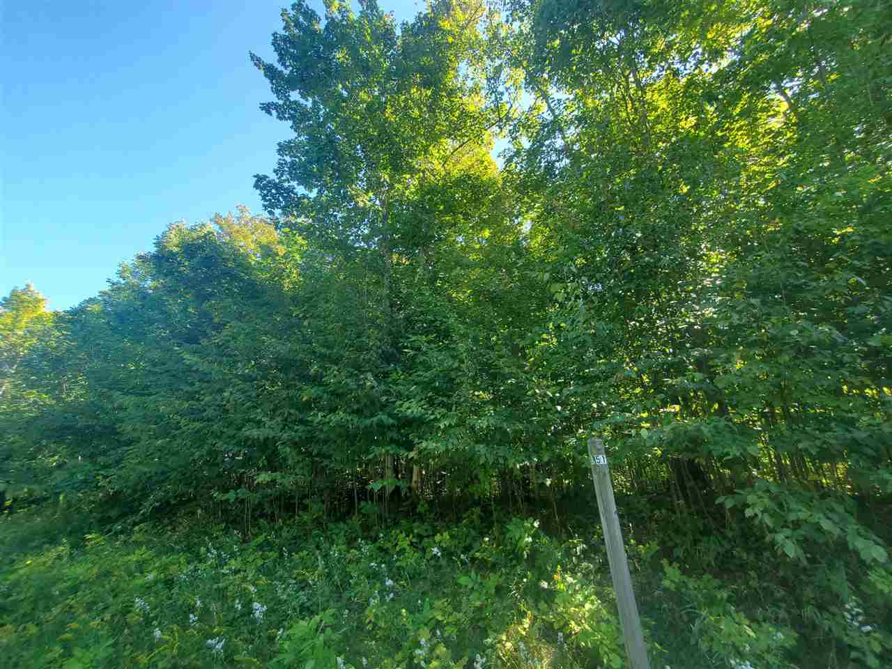 2026 Chapel Hill Drive Petoskey MI 49770