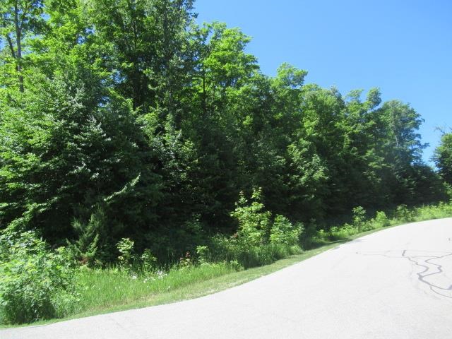2026 Chapel Hill Drive Petoskey MI 49770