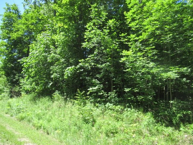 2026 Chapel Hill Drive Petoskey MI 49770