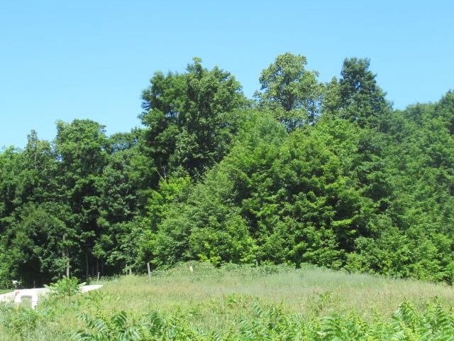 2026 Chapel Hill Drive Petoskey MI 49770