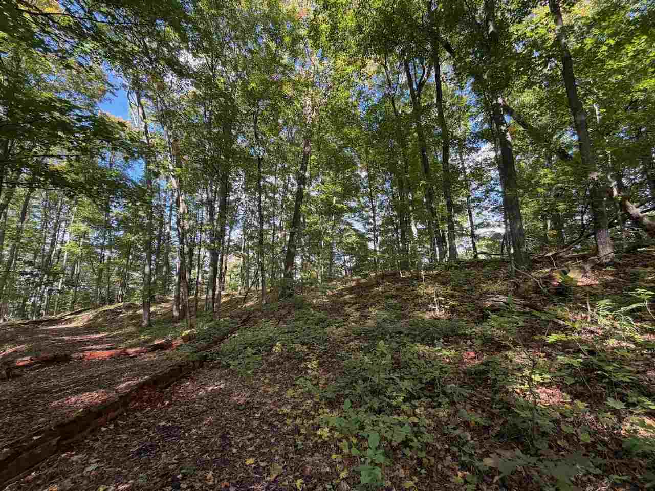 Unit 119 Legend Trail Bellaire MI 49615