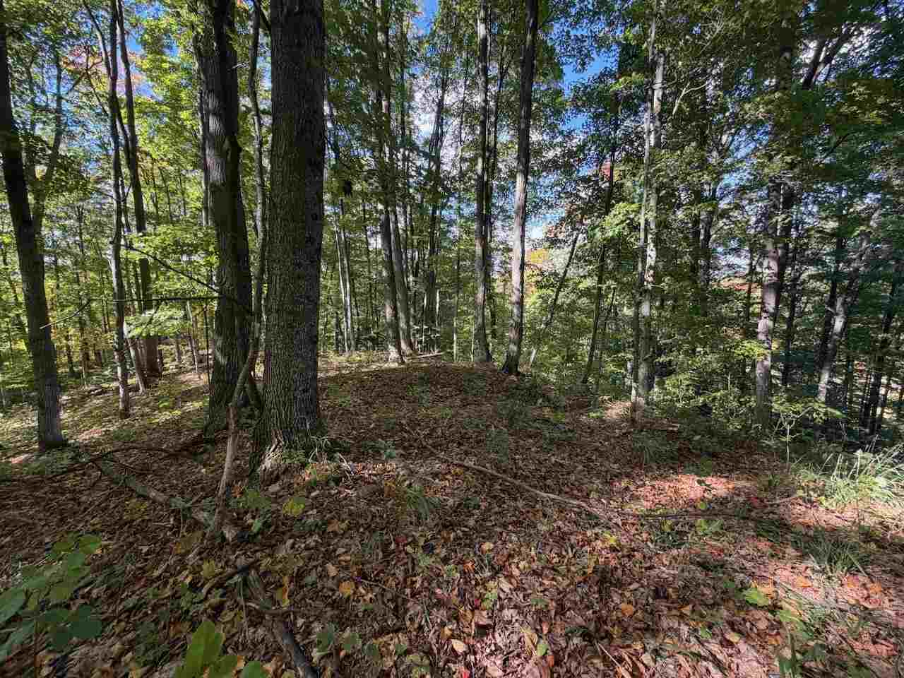 Unit 119 Legend Trail Bellaire MI 49615