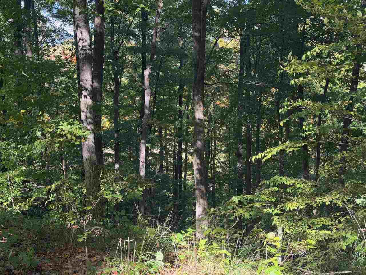 Unit 119 Legend Trail Bellaire MI 49615