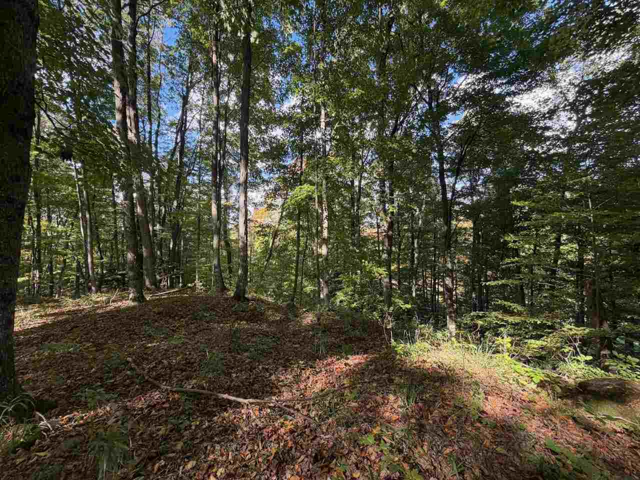 Unit 119 Legend Trail Bellaire MI 49615