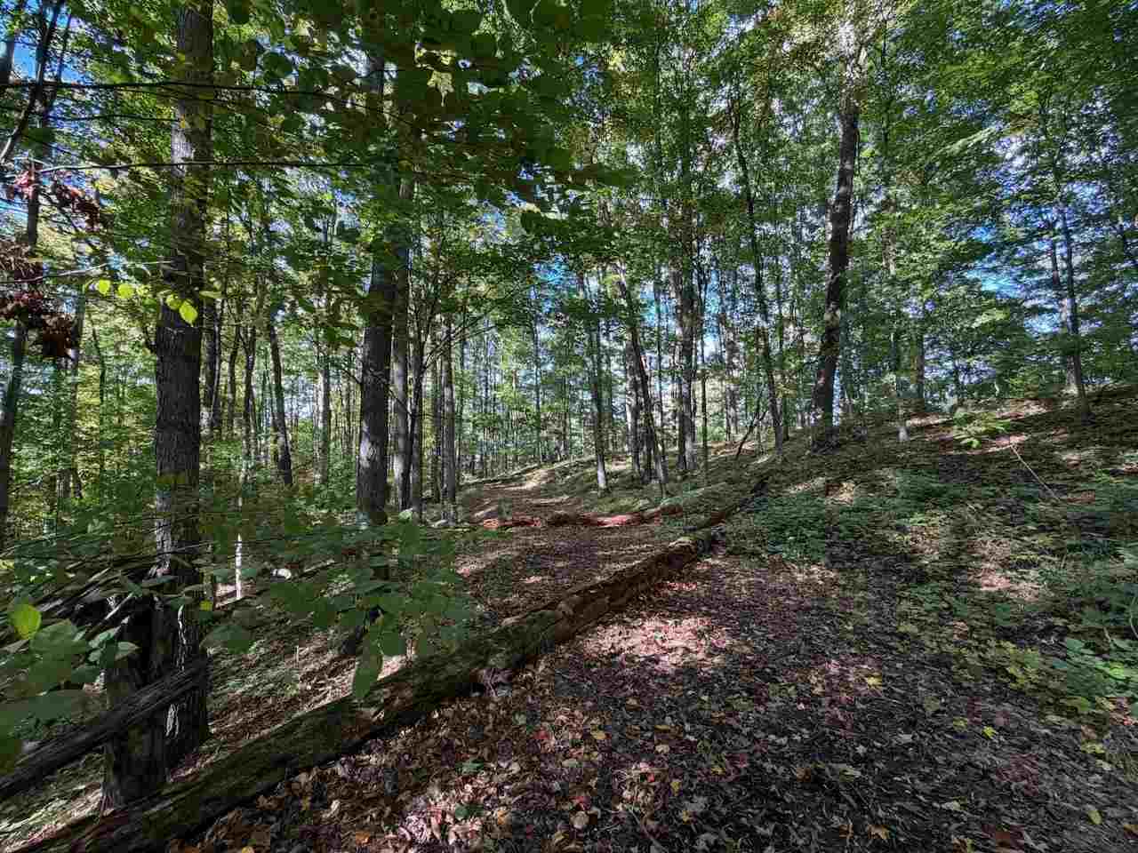 Unit 119 Legend Trail Bellaire MI 49615