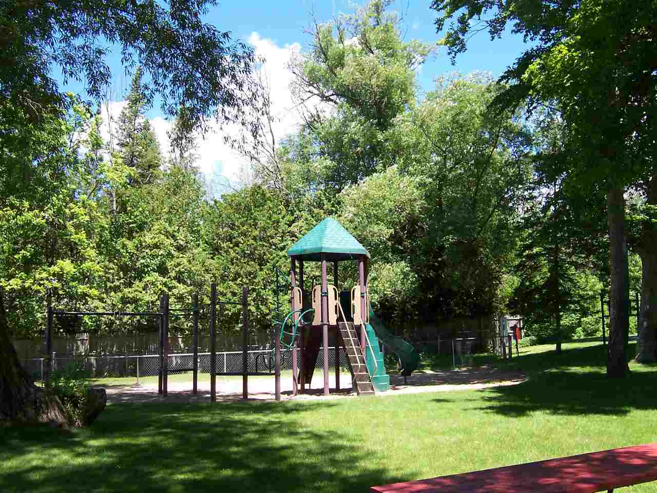 Unit 119 Legend Trail Bellaire MI 49615