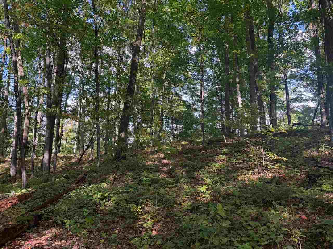 Unit 119 Legend Trail Bellaire MI 49615