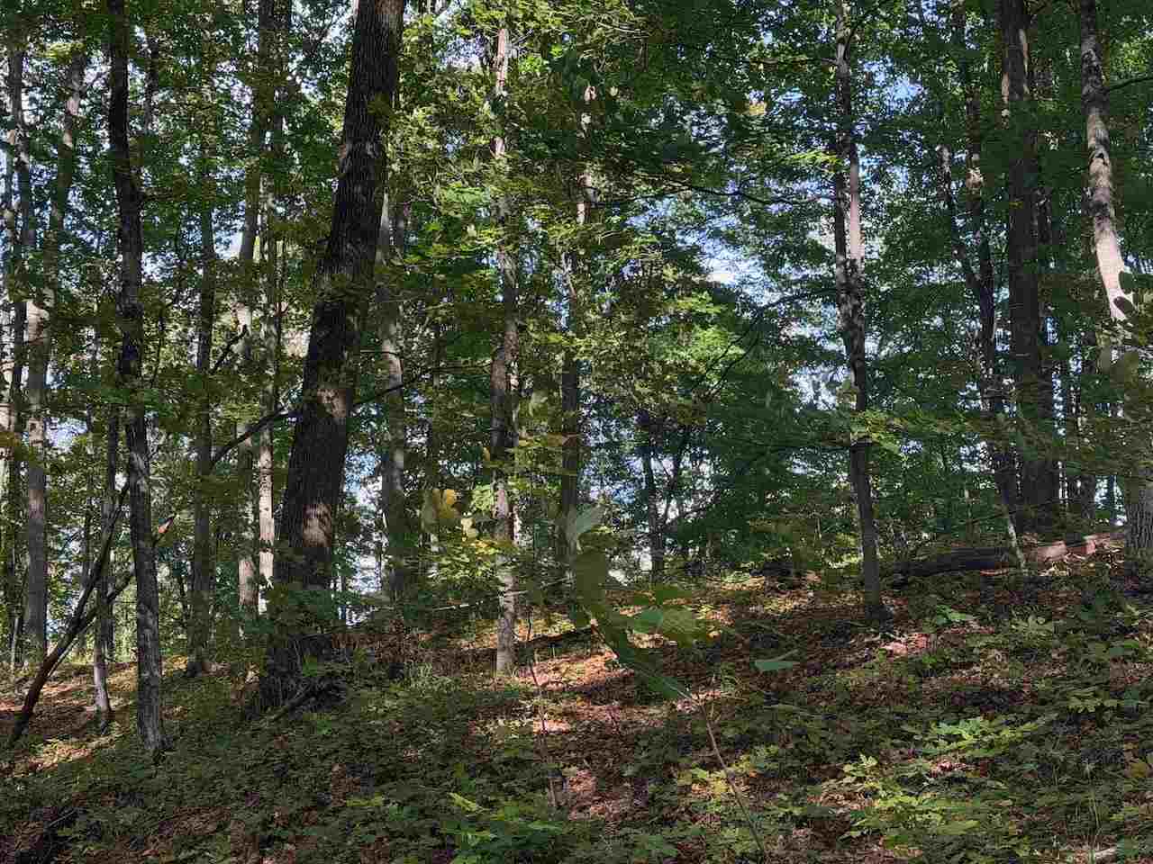 Unit 119 Legend Trail Bellaire MI 49615