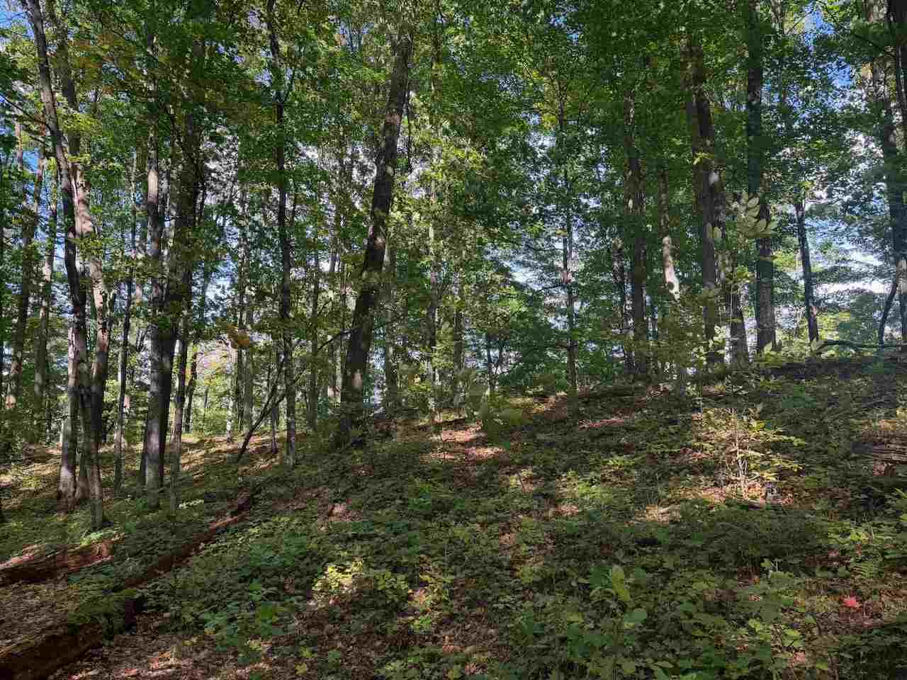 Unit 119 Legend Trail Bellaire MI 49615