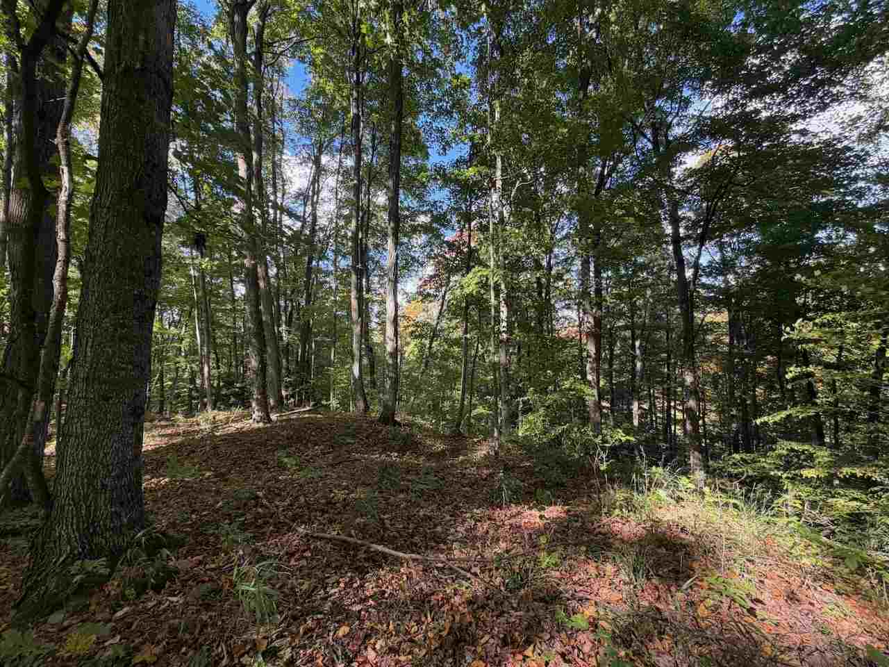 Unit 119 Legend Trail Bellaire MI 49615