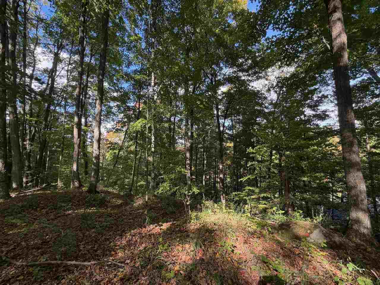 Unit 119 Legend Trail Bellaire MI 49615
