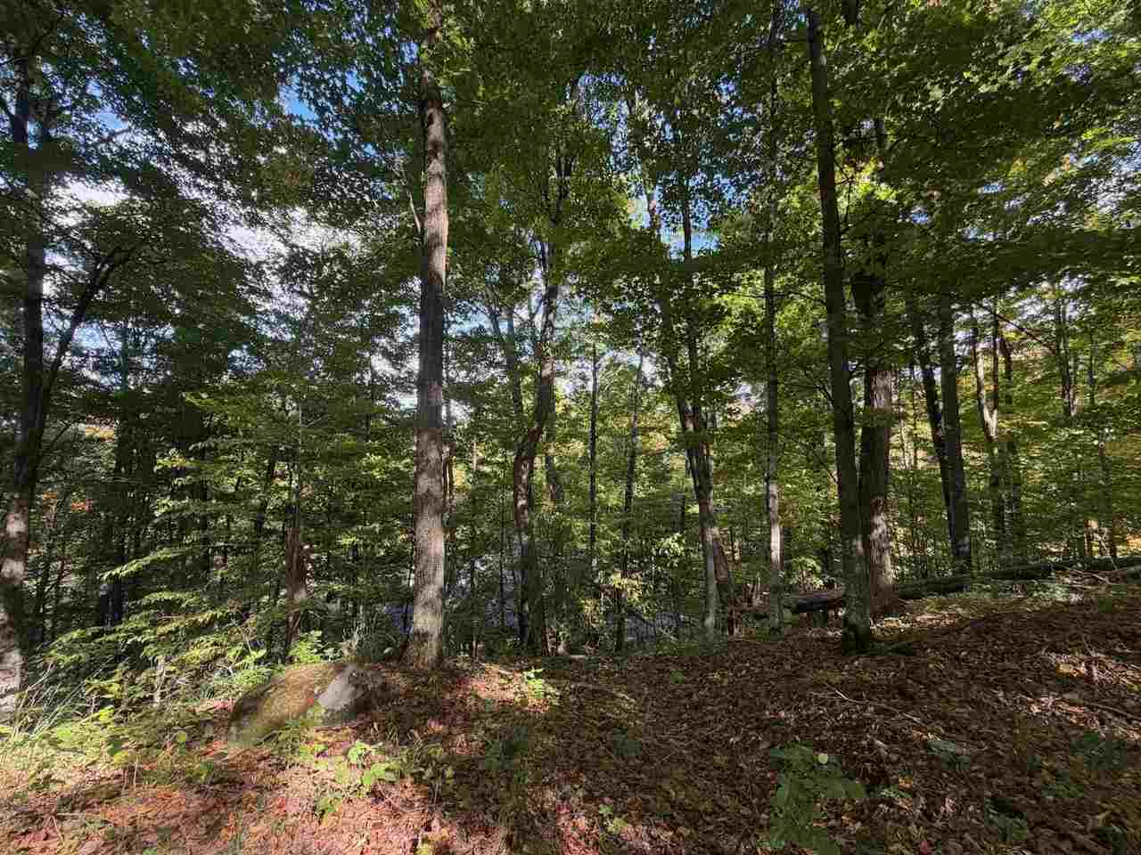 Unit 119 Legend Trail Bellaire MI 49615