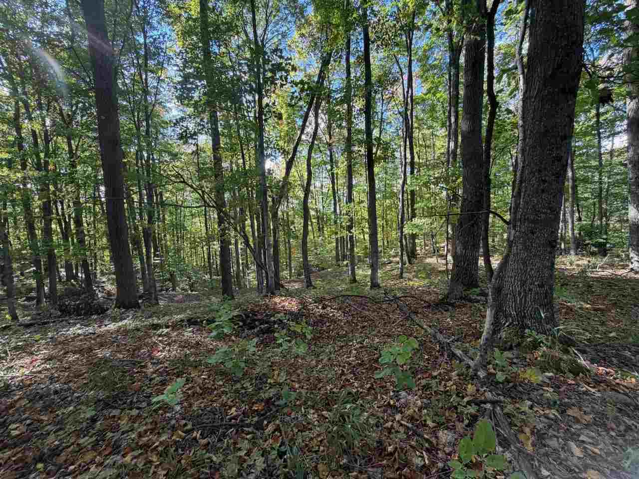 Unit 119 Legend Trail Bellaire MI 49615