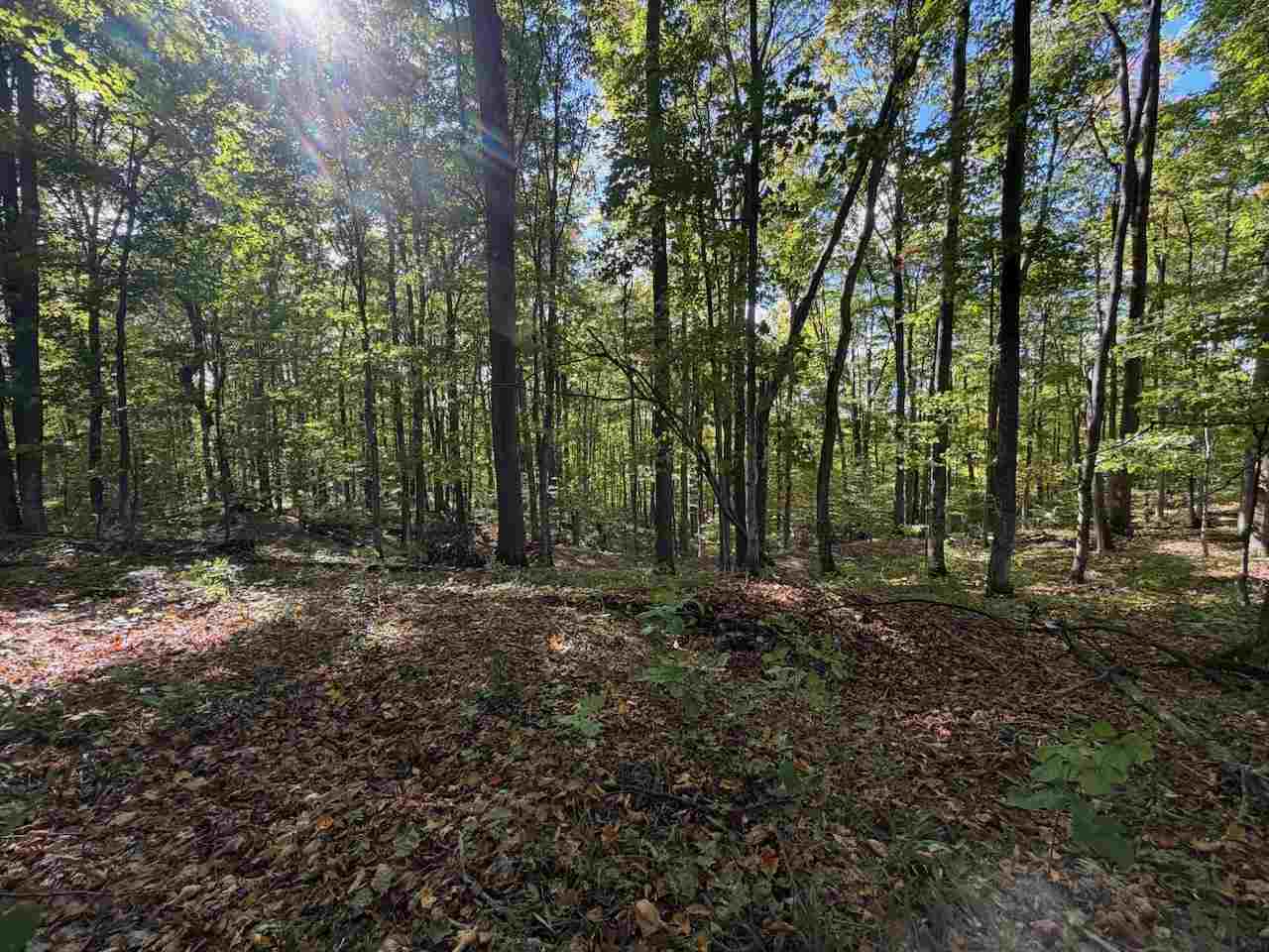 Unit 119 Legend Trail Bellaire MI 49615