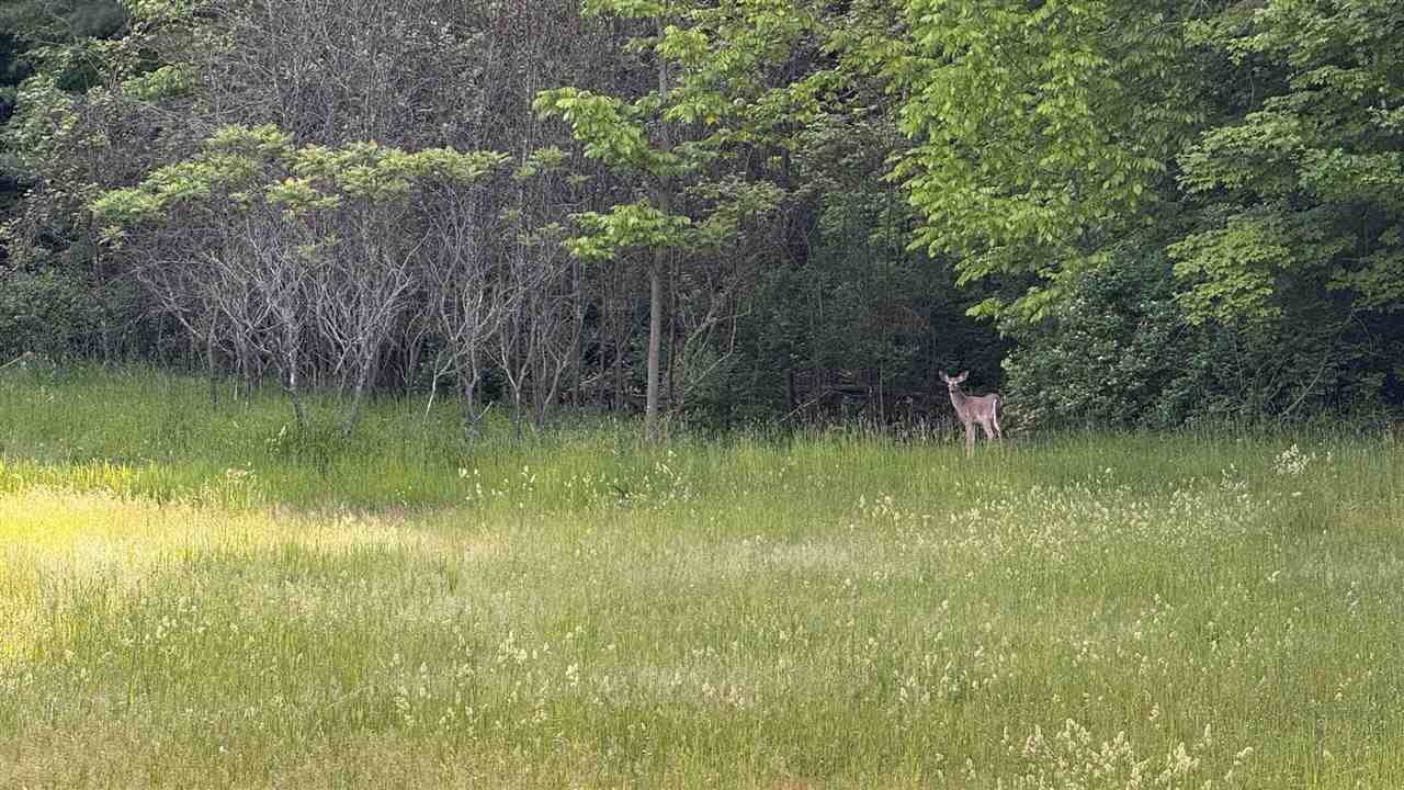 Tbd Rushton Road Ellsworth MI 49729