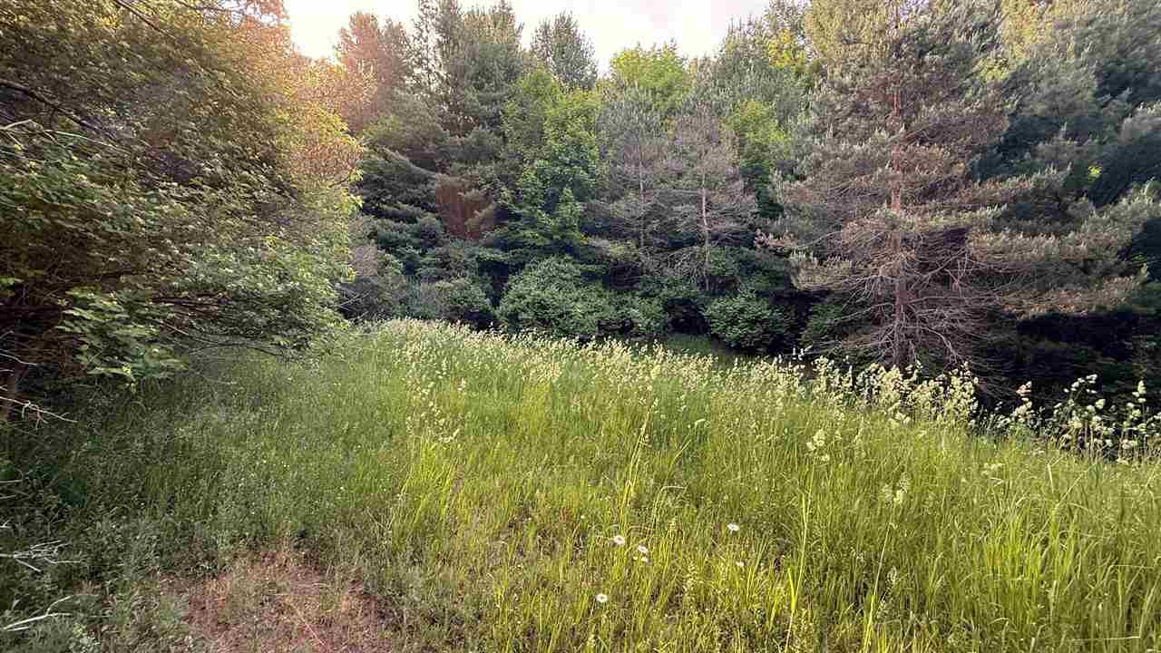 Tbd Rushton Road Ellsworth MI 49729