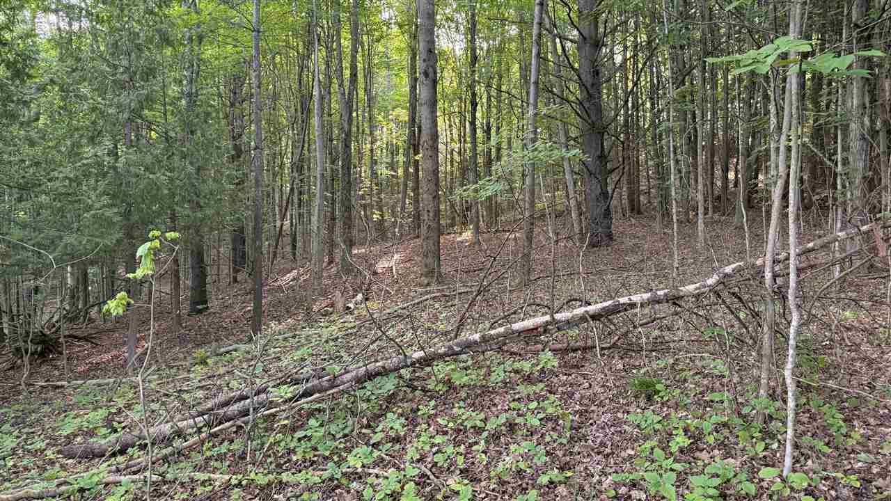Tbd Rushton Road Ellsworth MI 49729