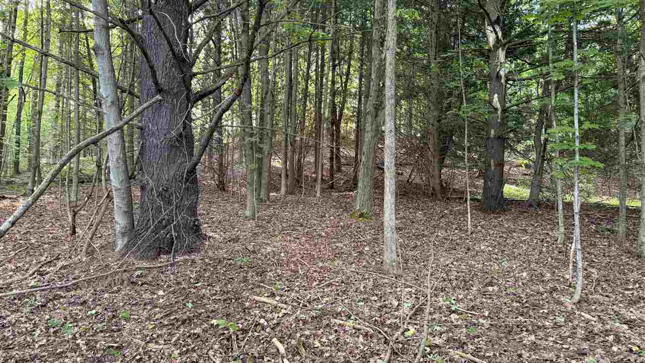Tbd Rushton Road Ellsworth MI 49729