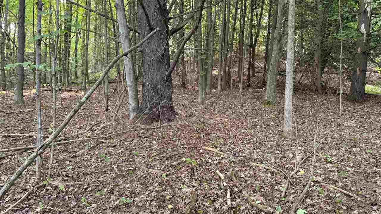 Tbd Rushton Road Ellsworth MI 49729