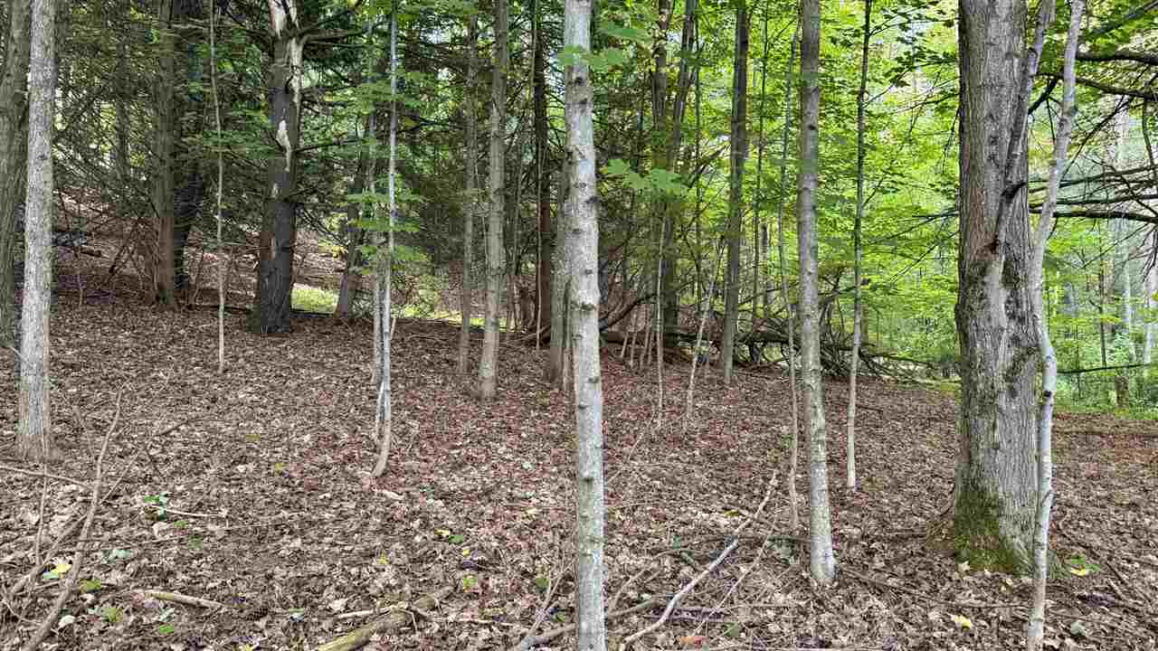 Tbd Rushton Road Ellsworth MI 49729