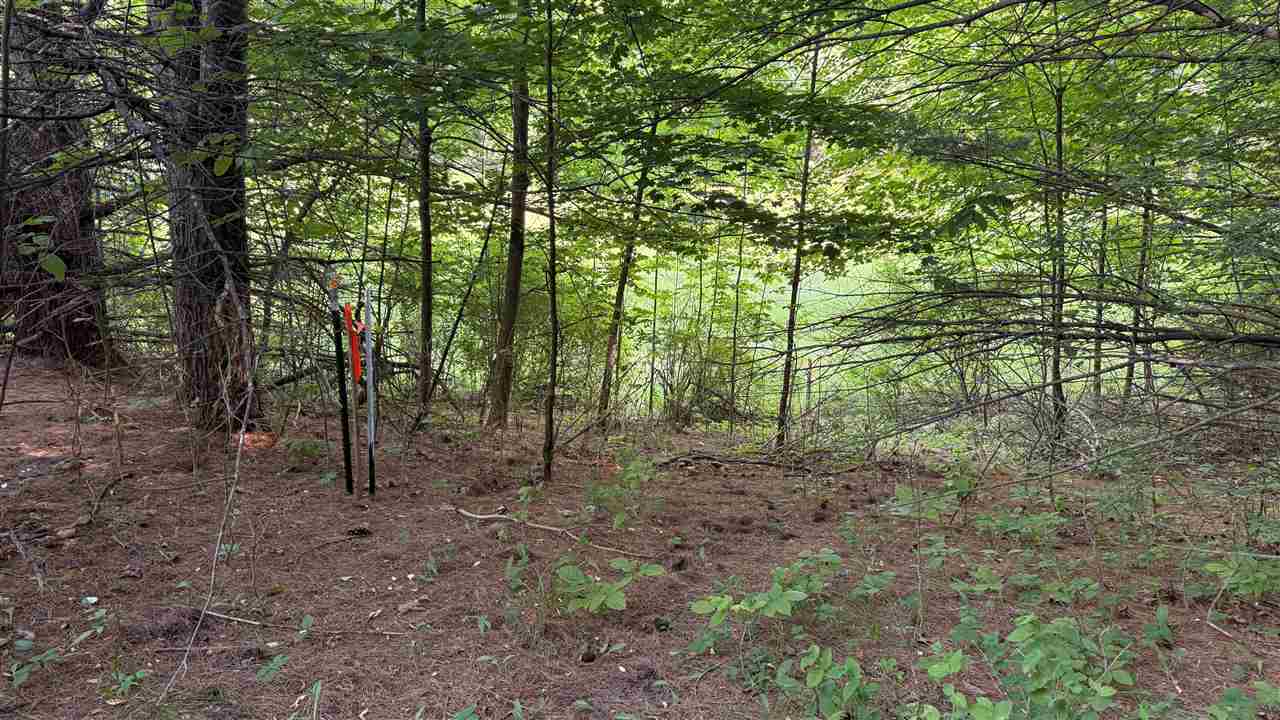 Tbd Rushton Road Ellsworth MI 49729