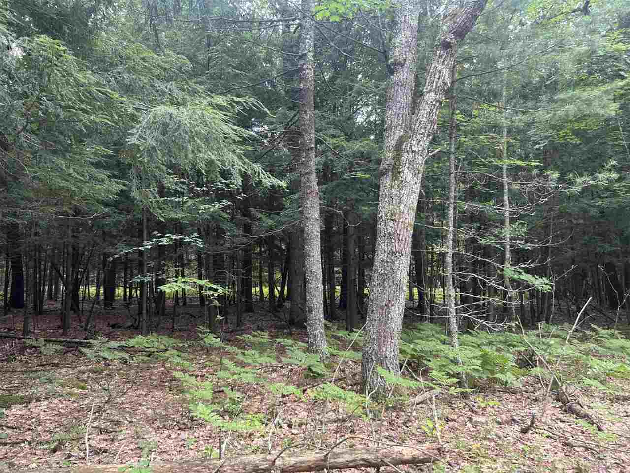 Tbd Arbutus Drive Cross Village MI 49723