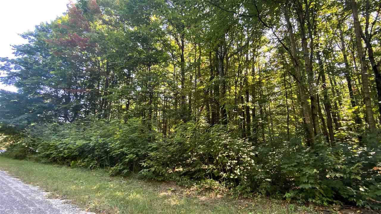 Lot 466 Northwood Drive Elmira MI 49730