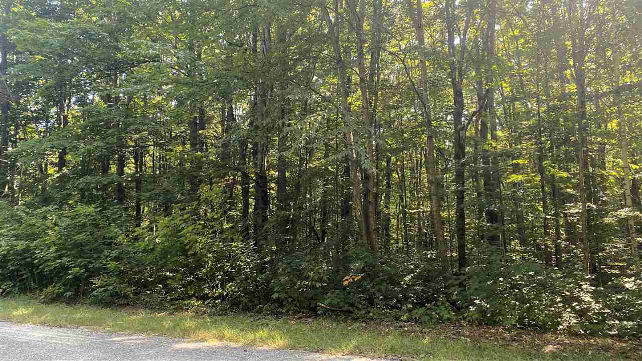 Lot 466 Northwood Drive Elmira MI 49730