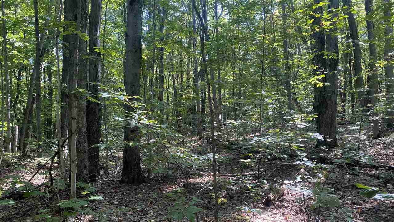 Lot 466 Northwood Drive Elmira MI 49730