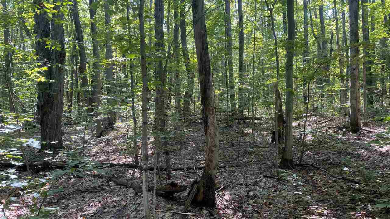 Lot 466 Northwood Drive Elmira MI 49730