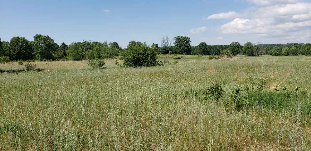 Lot 42 Alden Meadows Alden MI 49612