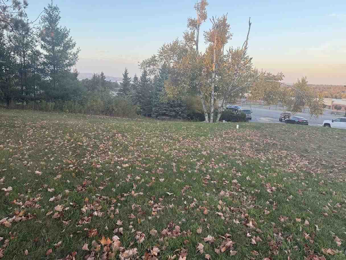 1750 Spring Street Petoskey MI 49770