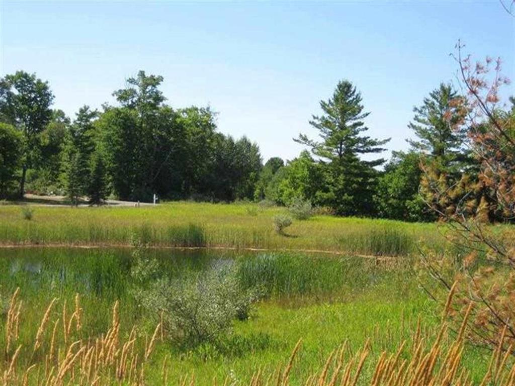 Lot 073 Country Club Drive Charlevoix MI 49720