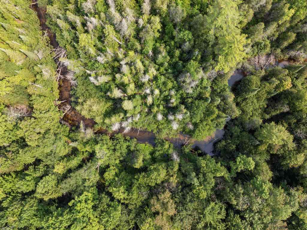 0000 Bergmann Road East Jordan MI 49727