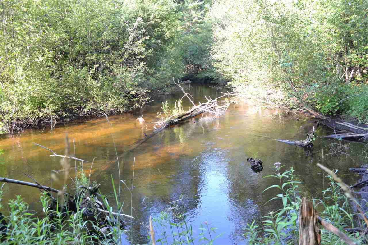 0000 Bergmann Road East Jordan MI 49727