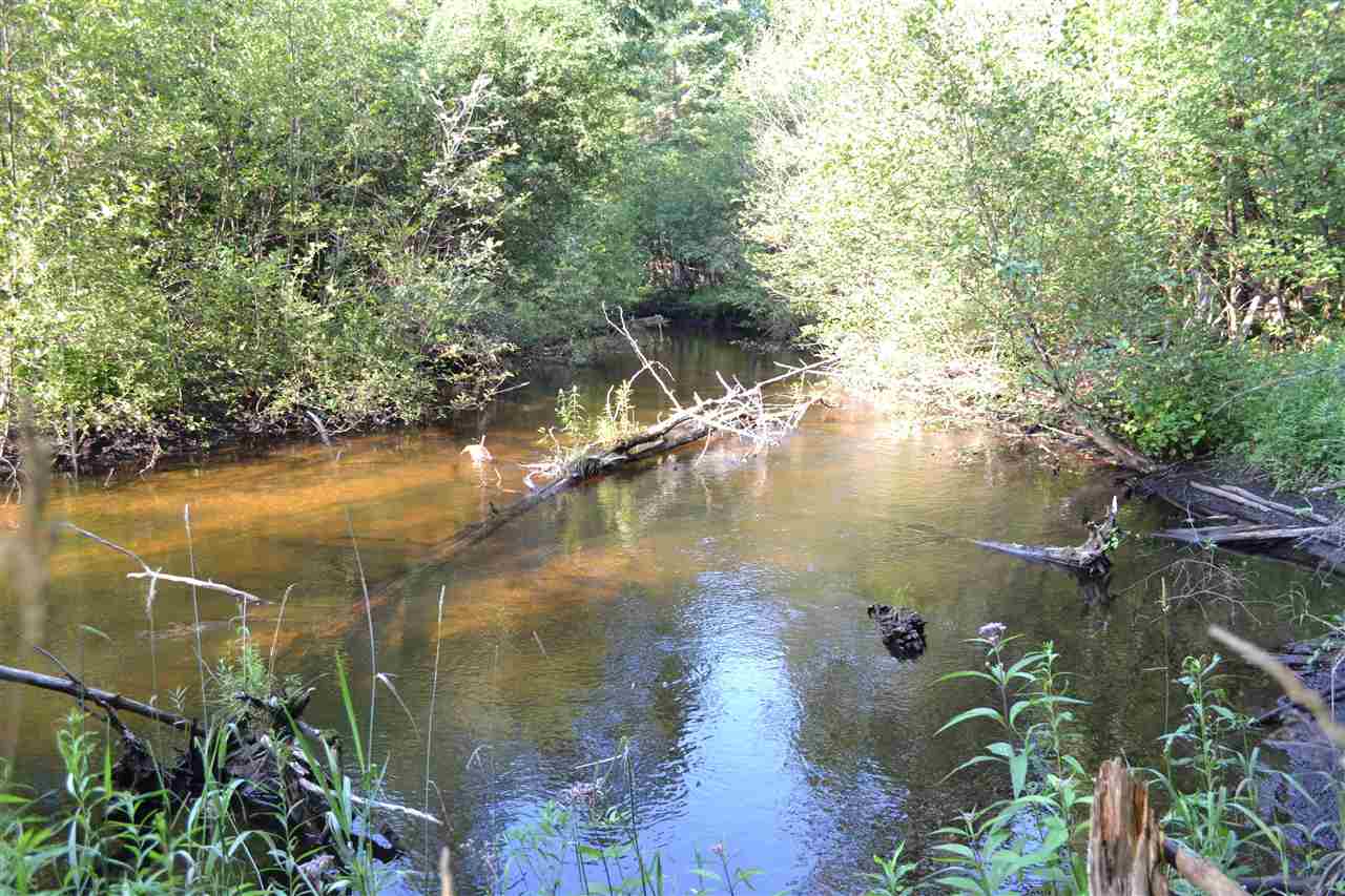 0000 Bergmann Road East Jordan MI 49727
