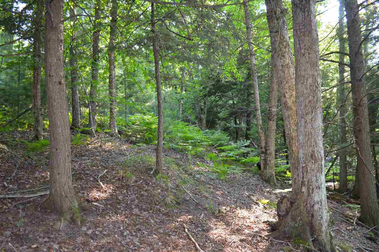0000 Bergmann Road East Jordan MI 49727