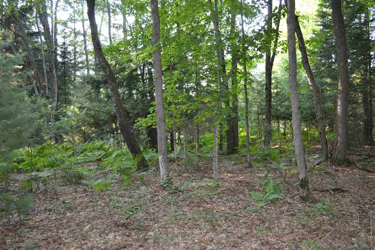 0000 Bergmann Road East Jordan MI 49727