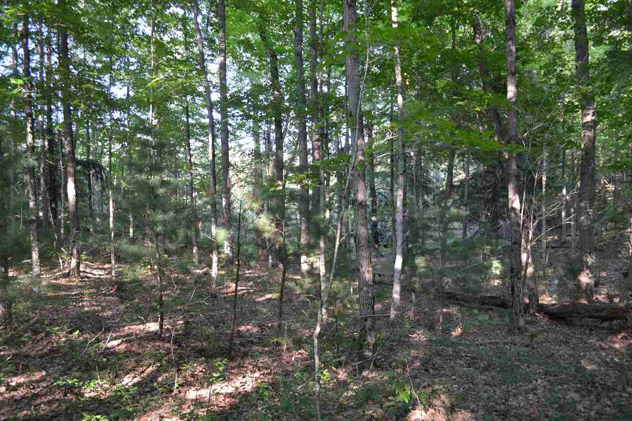 0000 Bergmann Road East Jordan MI 49727