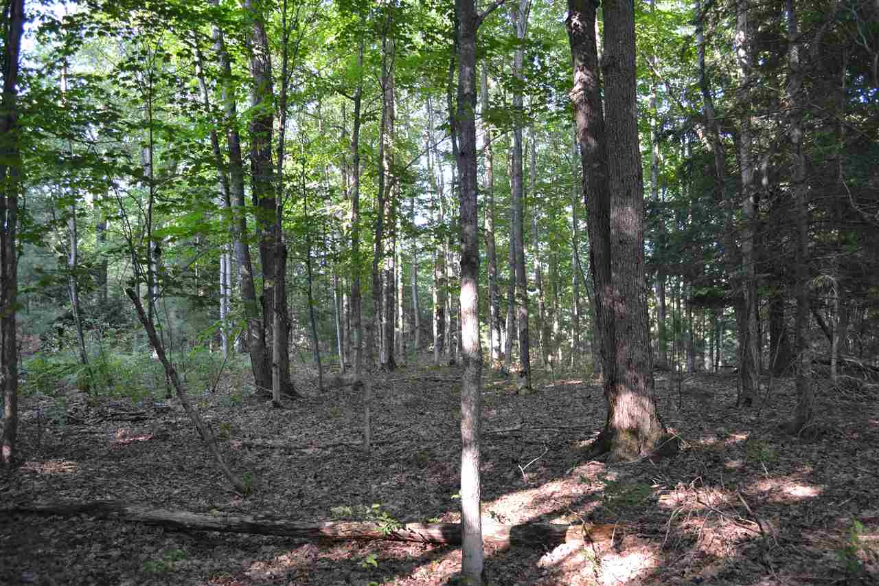 0000 Bergmann Road East Jordan MI 49727